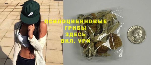 СК Кинешма