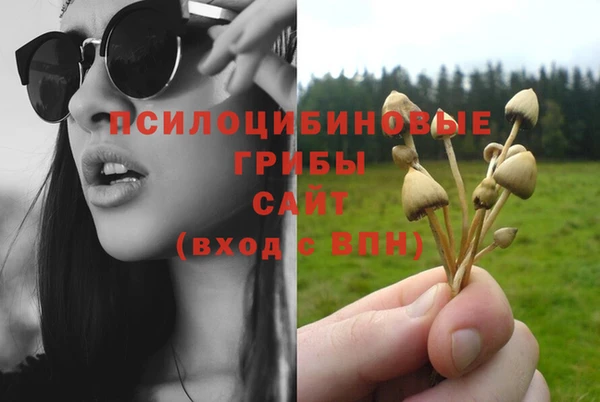мдпв Киреевск