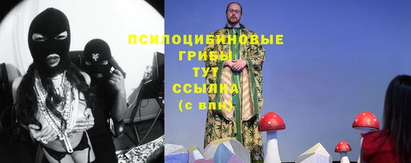 мдпв Киреевск