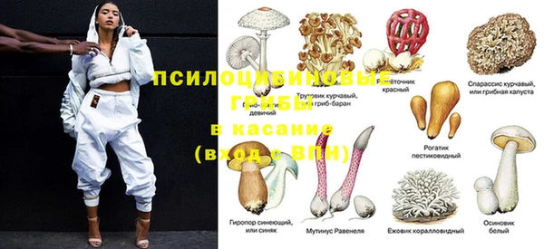 СК Кинешма